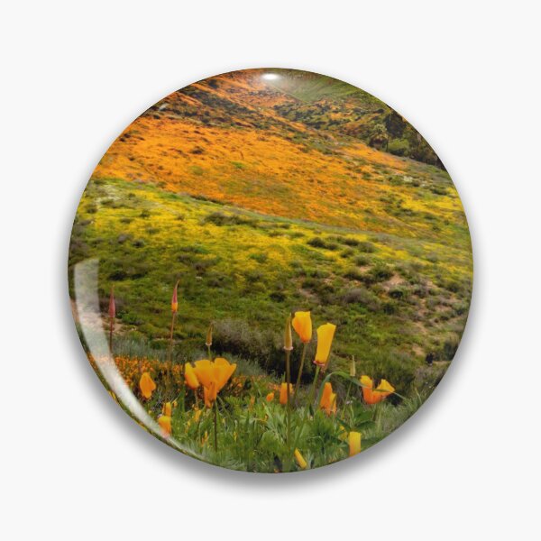 Item preview, California Poppy Field designed and sold by nbrandsberg.