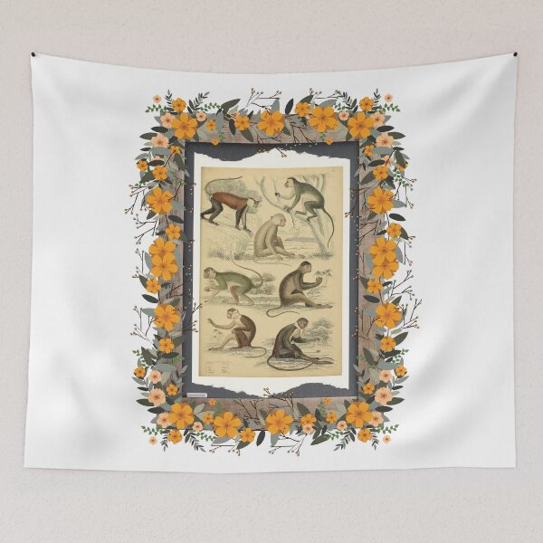 Item preview, Zoological board Guenons - Zoological designs and zoology boards designed and sold by AdvanceDesign.