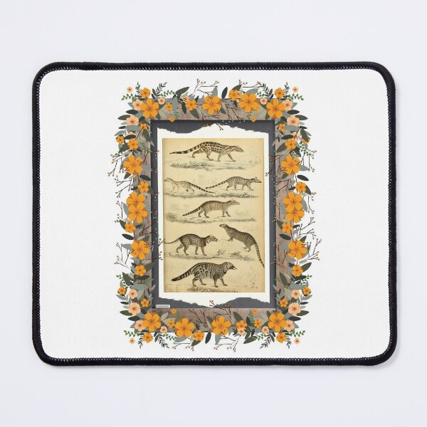 Item preview, Zoological board Civets - Zoological designs and zoology boards designed and sold by AdvanceDesign.
