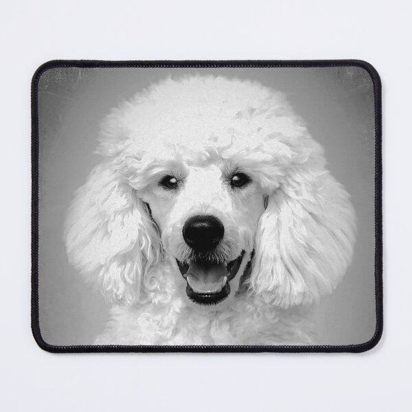 Item preview, Poodle dog - BW Vintage - D12 designed and sold by DecoVintage.