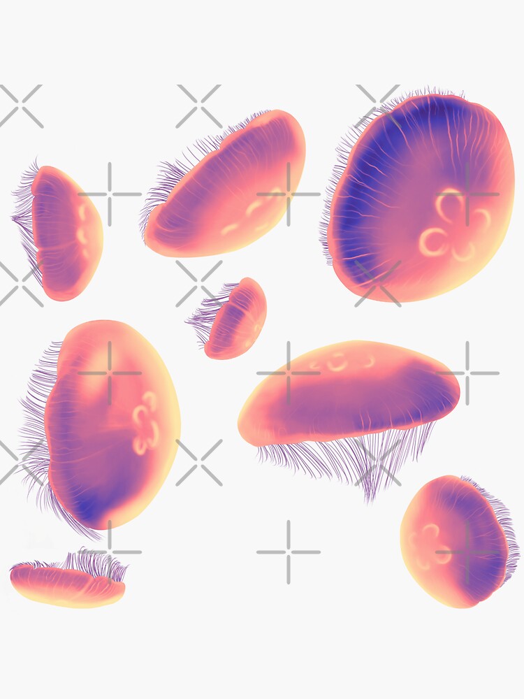 "8 Venice Pink/Orange/Purple/Tan Moon Jellies (salmon peach background