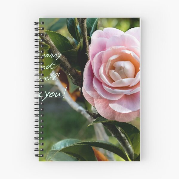 Item preview, The Pink Camelia Get Well designed and sold by nbrandsberg.