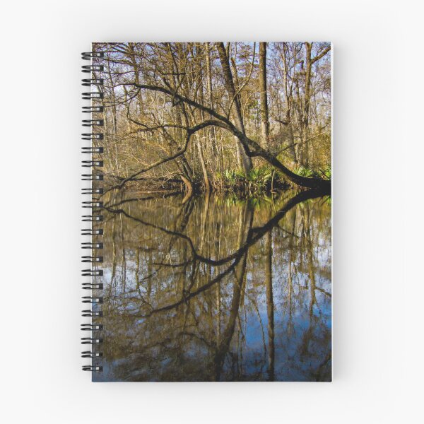 Item preview, Santee River Runs Through it designed and sold by nbrandsberg.