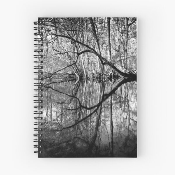 Item preview, Santee River Twin Branch Reflections designed and sold by nbrandsberg.