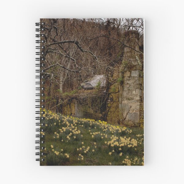Item preview, Apple Orchard Valley Ruins designed and sold by nbrandsberg.