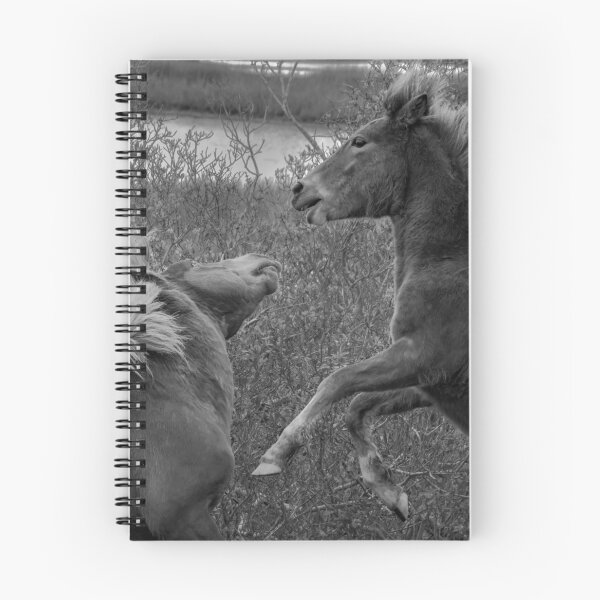 Item preview, Assateague Chincoteague Wild Horses designed and sold by nbrandsberg.