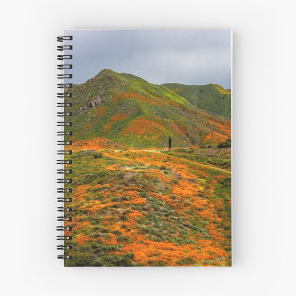 Item preview, Lake Elsinore Poppies designed and sold by nbrandsberg.