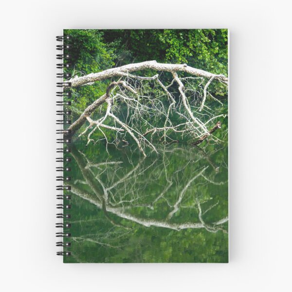Item preview, Jackson River Branches designed and sold by nbrandsberg.