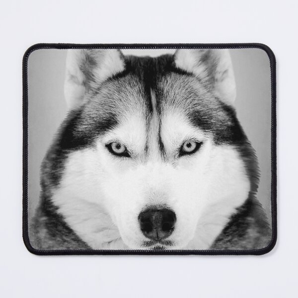 Item preview, Siberian Husky dog - BW Vintage - D40 designed and sold by DecoVintage.