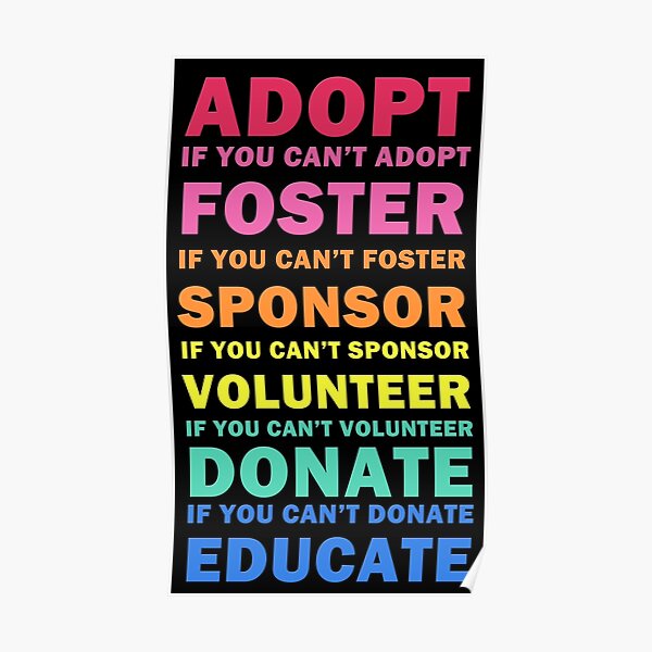 Adopt Foster Sponsor Poster