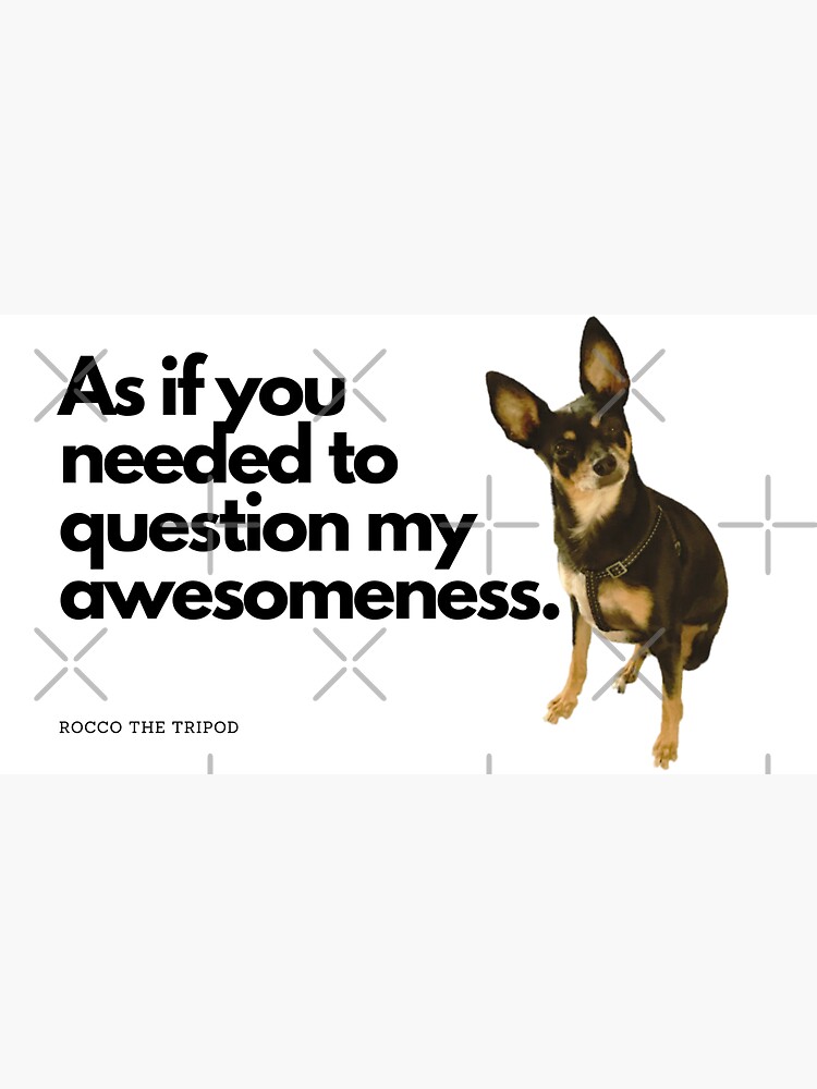 "Tripod Rescue Dog Tilting His Head With A Quote " Sticker for Sale by