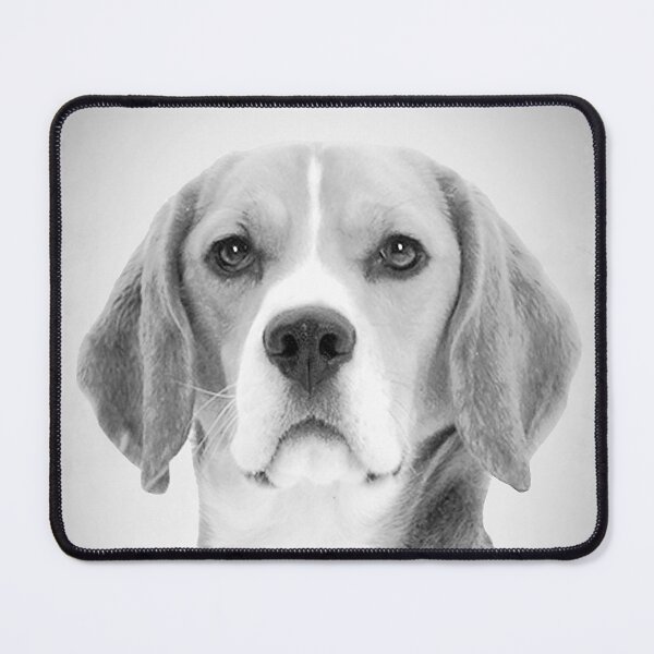 Item preview, Beagle dog - BW Vintage - D6 designed and sold by DecoVintage.