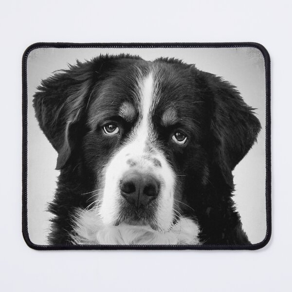 Item preview, Bernese Mountain dog - BW Vintage - D4 designed and sold by DecoVintage.