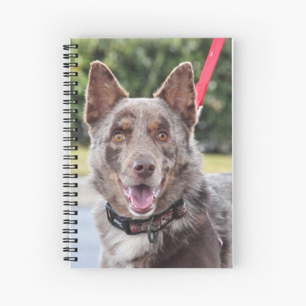 Porter Spiral Notebook