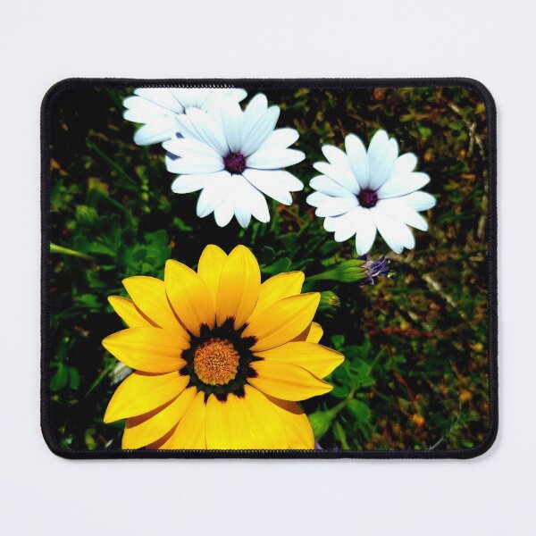 Item preview, WHITE/ YELLOW DAISIES designed and sold by Steffi August.