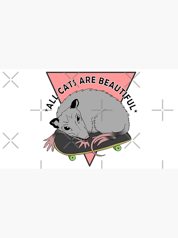 all cats are beautiful | skateboarding opossum by craftordiy