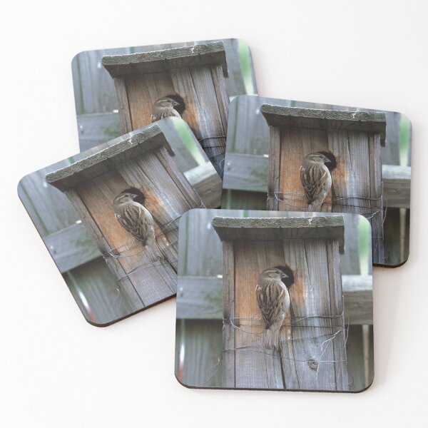 Item preview, House Sparrow Returns Home designed and sold by Bill Spengler's Photographic Thoughts.