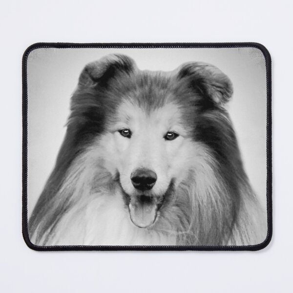 Item preview, Rough Collie dog - BW Vintage - D58 designed and sold by DecoVintage.