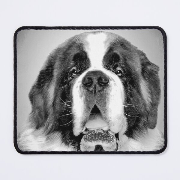 Item preview, Saint Bernard dog - BW Vintage - D60 designed and sold by DecoVintage.