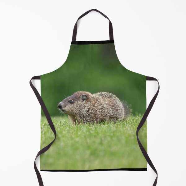 Item preview, Adorable Little Woodchuck designed and sold by LisaNaturePhoto.