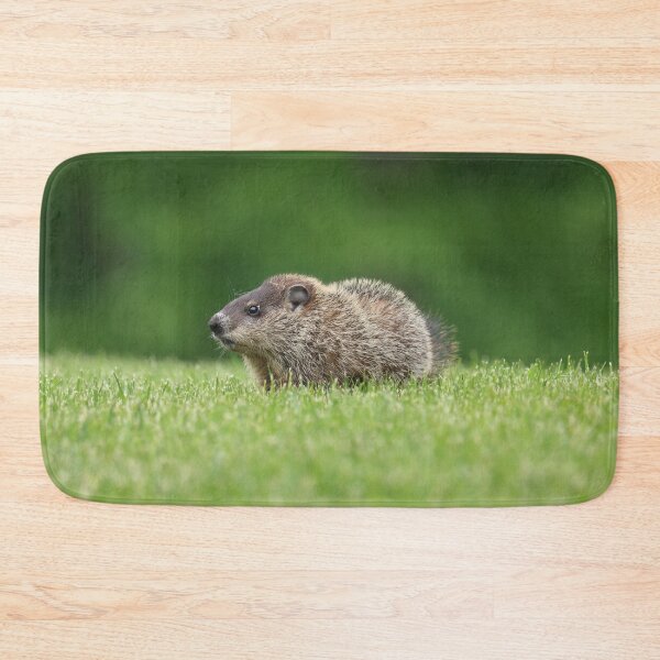 Item preview, Adorable Little Woodchuck designed and sold by LisaNaturePhoto.