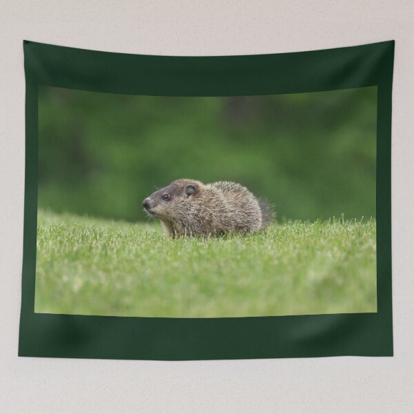 Item preview, Adorable Little Woodchuck designed and sold by LisaNaturePhoto.