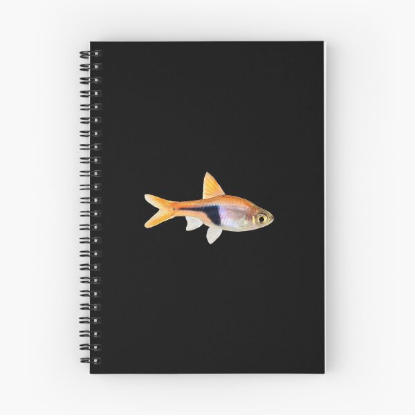 Item preview, Rasbora - For All Rasbora Lovers designed and sold by AquariumExp.