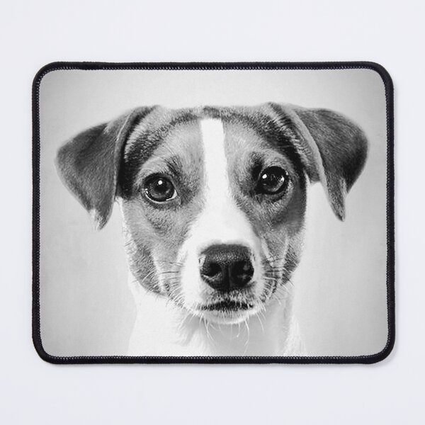 Item preview, Jack Russell dog - BW Vintage - D80 designed and sold by DecoVintage.
