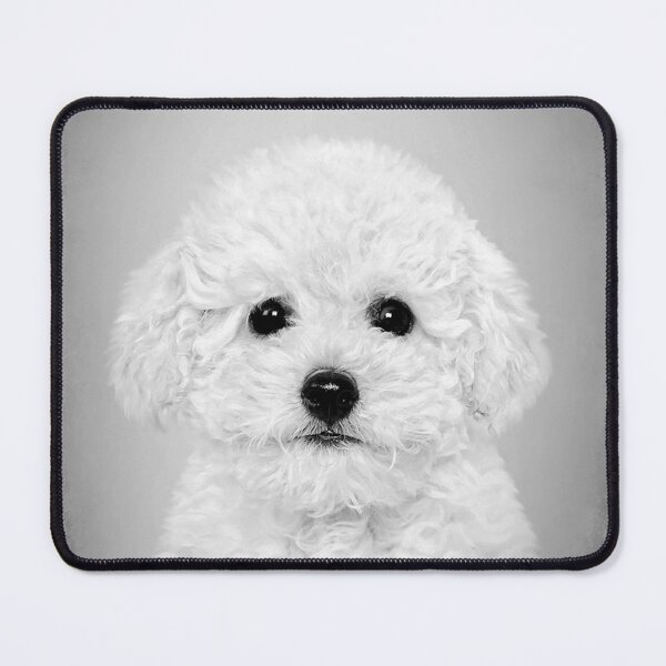 Item preview, Toy Poodle dog - BW Vintage - D94 designed and sold by DecoVintage.