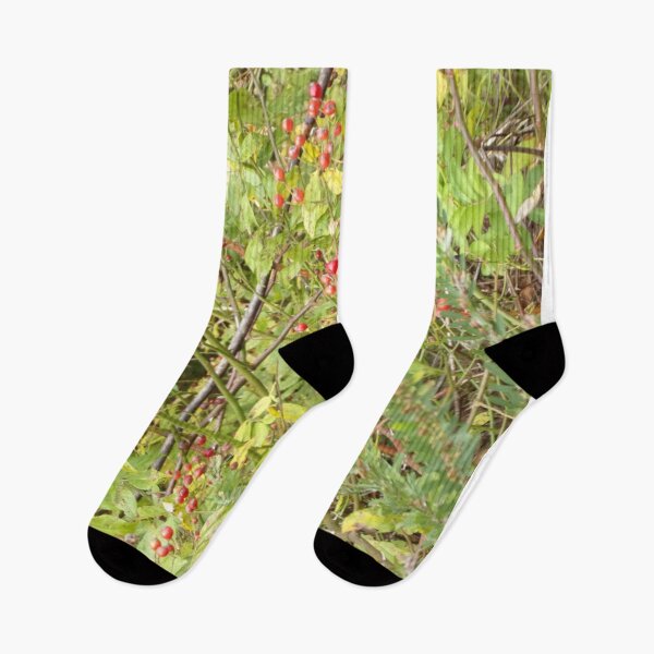 Item preview, Wild berries designed and sold by AlicesArtistry.