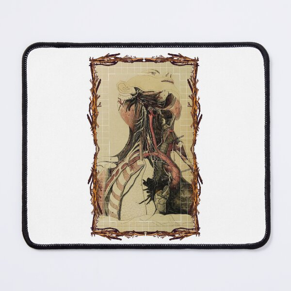 Item preview, Placas anatómicas carotídeas: diseños anatómicos, placas para cuerpo humano y anatomía designed and sold by AdvanceDesign.