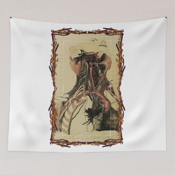 Item preview, Anatomical board Carotid - Anatomical designs, human body and anatomy boards designed and sold by AdvanceDesign.