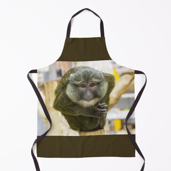 Item preview, Allen's Swamp Monkey at the National Zoo designed and sold by Zoo and Nature Photography by Karie.