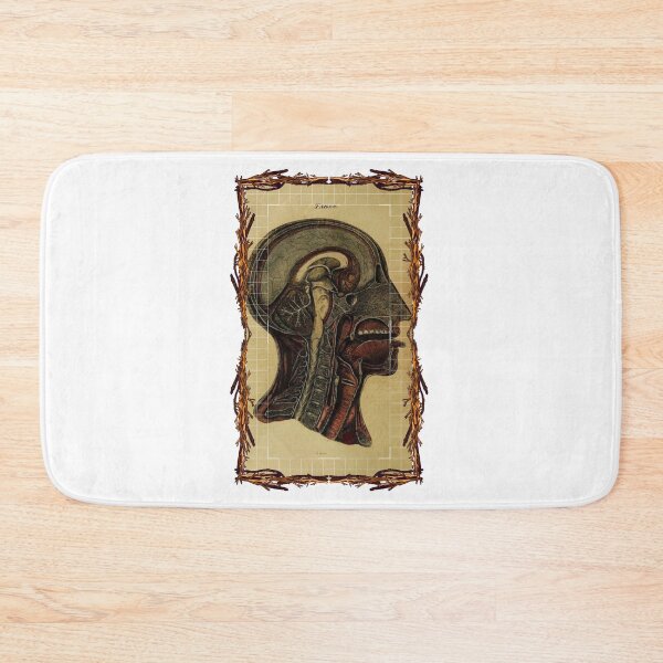 Item preview, Anatomical board Cross section of the head - Anatomical designs, human body and anatomy boards designed and sold by AdvanceDesign.