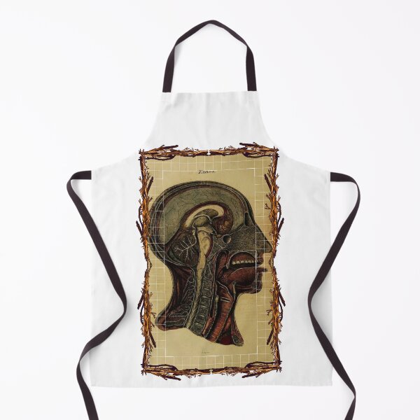 Item preview, Anatomical board Cross section of the head - Anatomical designs, human body and anatomy boards designed and sold by AdvanceDesign.