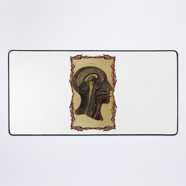 Item preview, Anatomical board Cross section of the head - Anatomical designs, human body and anatomy boards designed and sold by AdvanceDesign.