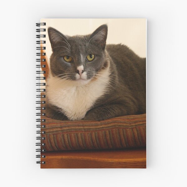 Item preview, Chilly the Rescue designed and sold by Bill Spengler's Photographic Thoughts.