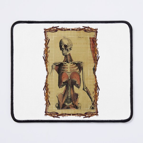 Item preview, Tablero anatómico Cuerpo femenino - Diseños anatómicos, Tableros de cuerpo humano y anatomía designed and sold by AdvanceDesign.
