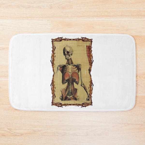 Item preview, Anatomical board Women body - Anatomical designs, human body and anatomy boards designed and sold by AdvanceDesign.