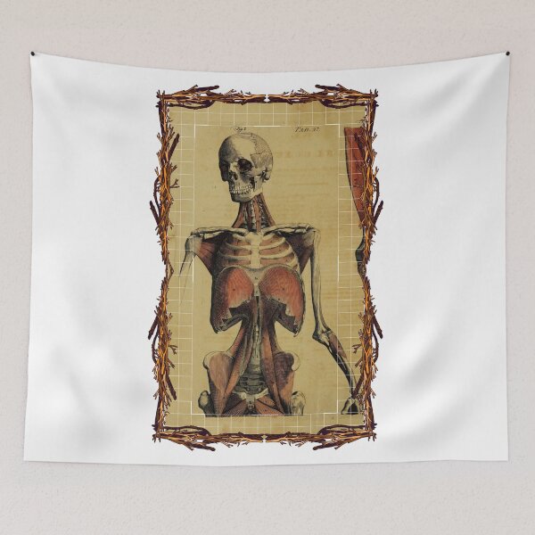 Item preview, Anatomical board Women body - Anatomical designs, human body and anatomy boards designed and sold by AdvanceDesign.