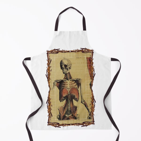 Item preview, Anatomical board Women body - Anatomical designs, human body and anatomy boards designed and sold by AdvanceDesign.