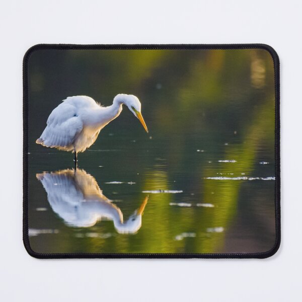 Item preview, A serene Reflection designed and sold by SgbClicks19.