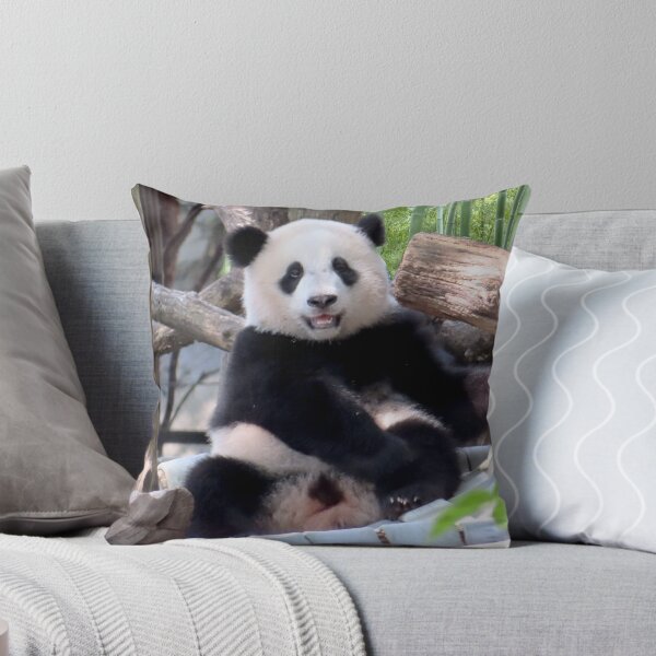 Item preview, Giant Panda Xiao Qi Ji at the Smithsonian's National Zoo designed and sold by Zoo and Nature Photography by Karie.