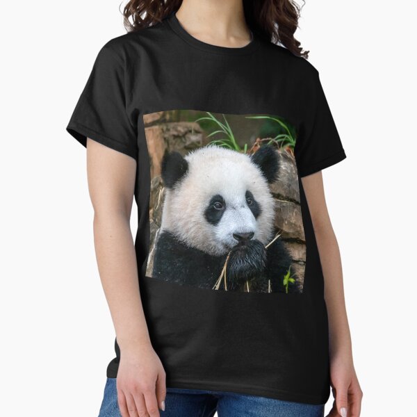Item preview, Giant Panda Xiao Qi Ji at the National Zoo designed and sold by Zoo and Nature Photography by Karie.