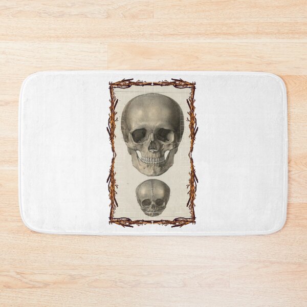 Item preview, Anatomical board Skulls - Anatomical designs, human body and anatomy boards designed and sold by AdvanceDesign.