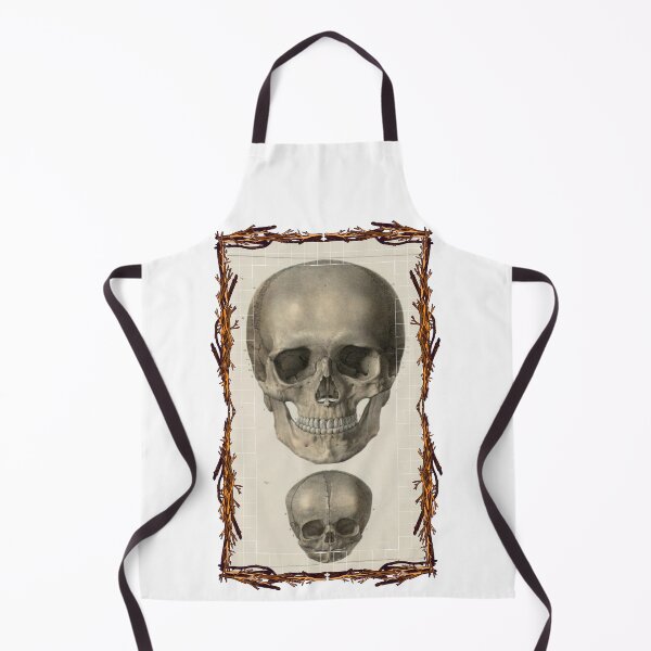 Item preview, Anatomical board Skulls - Anatomical designs, human body and anatomy boards designed and sold by AdvanceDesign.