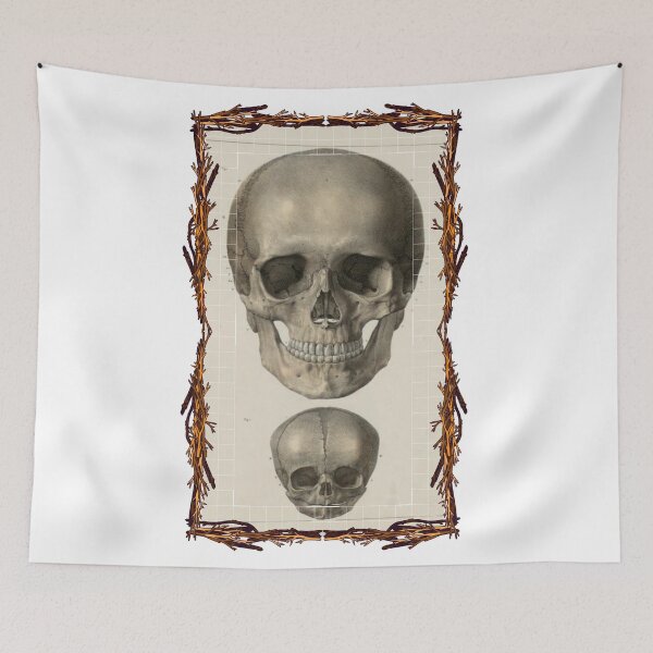 Item preview, Anatomical board Skulls - Anatomical designs, human body and anatomy boards designed and sold by AdvanceDesign.