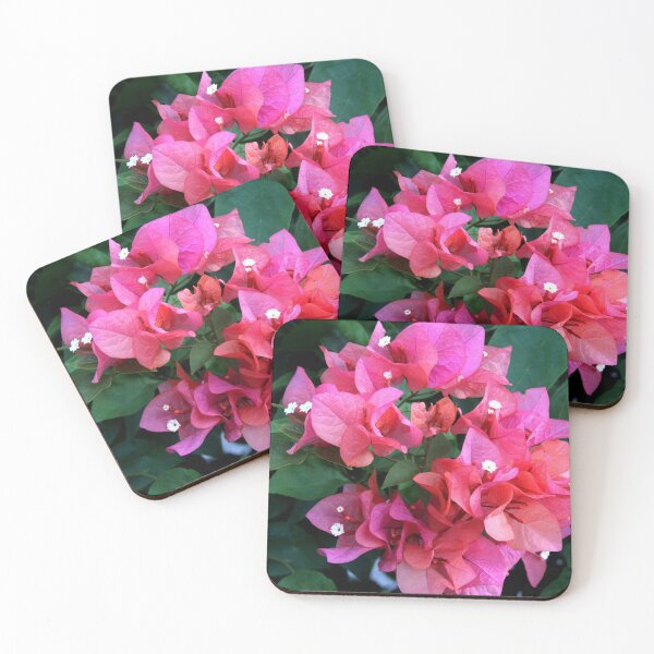 Item preview, Bougainvillea, Kona, Hawaii designed and sold by GardenAndEasel.