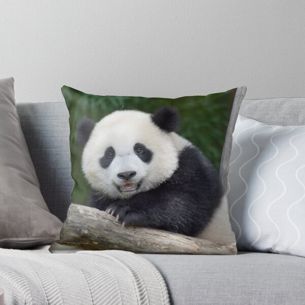 Item preview, Baby Panda Xiao Qi Ji at the National Zoo designed and sold by Zoo and Nature Photography by Karie.