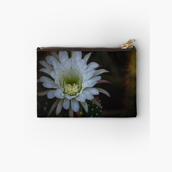 Item preview, White Echinopsis designed and sold by Saija  Lehtonen.